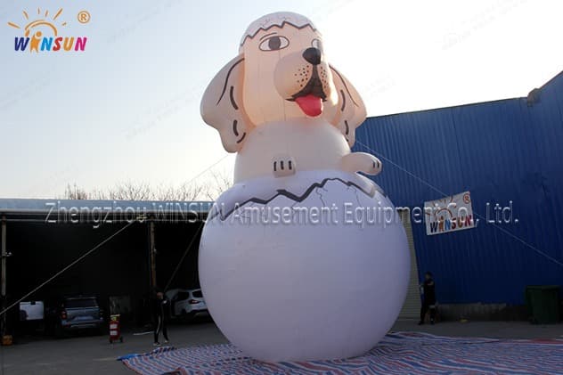 commercial Egg Celent for sale