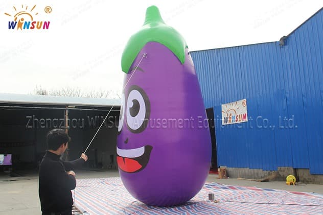 outdoor Egg Plant