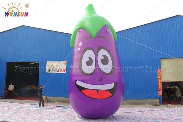 commercial Egg Plant for sale
