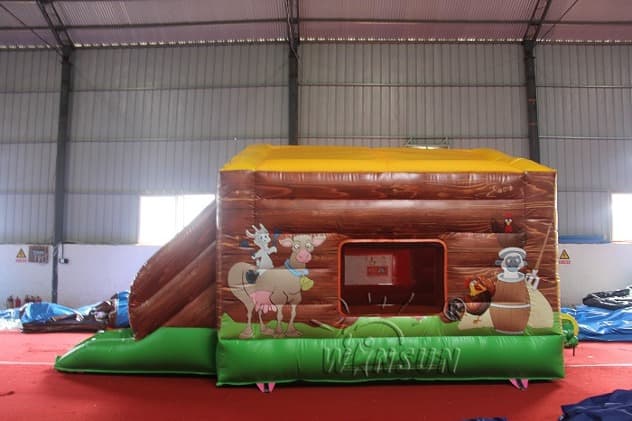 indoor Inflatable Play Bouncer