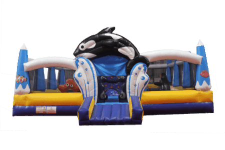 WSL-100 Dolphin Inflatable Fun City