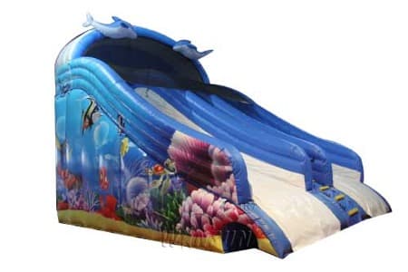 WSS-266 Dolphin Themed Water Slide