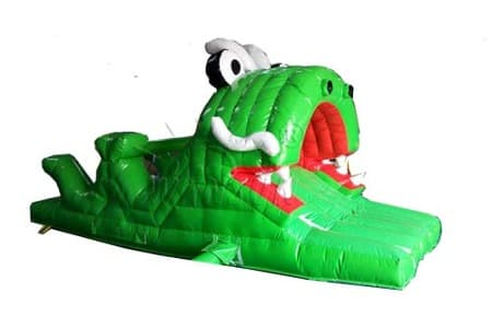 WSS-190 Inflatable Frog Slide For Kids