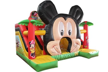 WSS-234 Small Inflatable Mouse Slide