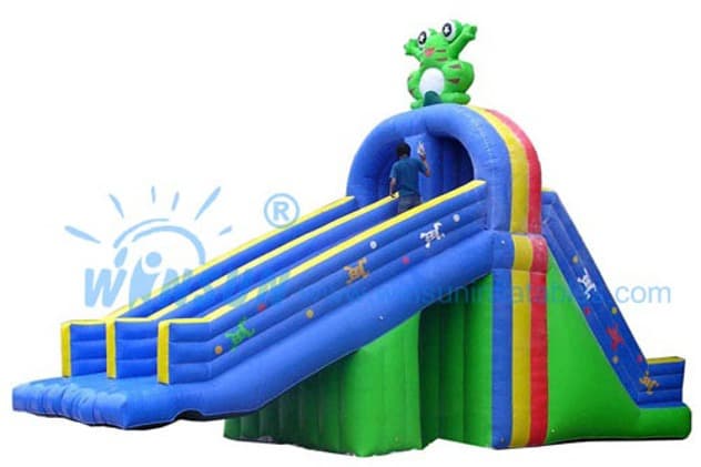 commercial Frog Water Slide