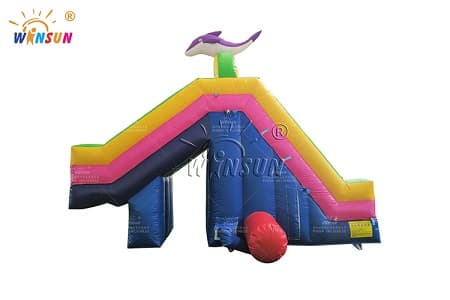 WSS-438 Inflatable Pool Slide