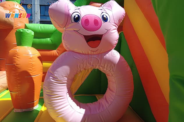 WINSUN farm theme inflatable castle combo